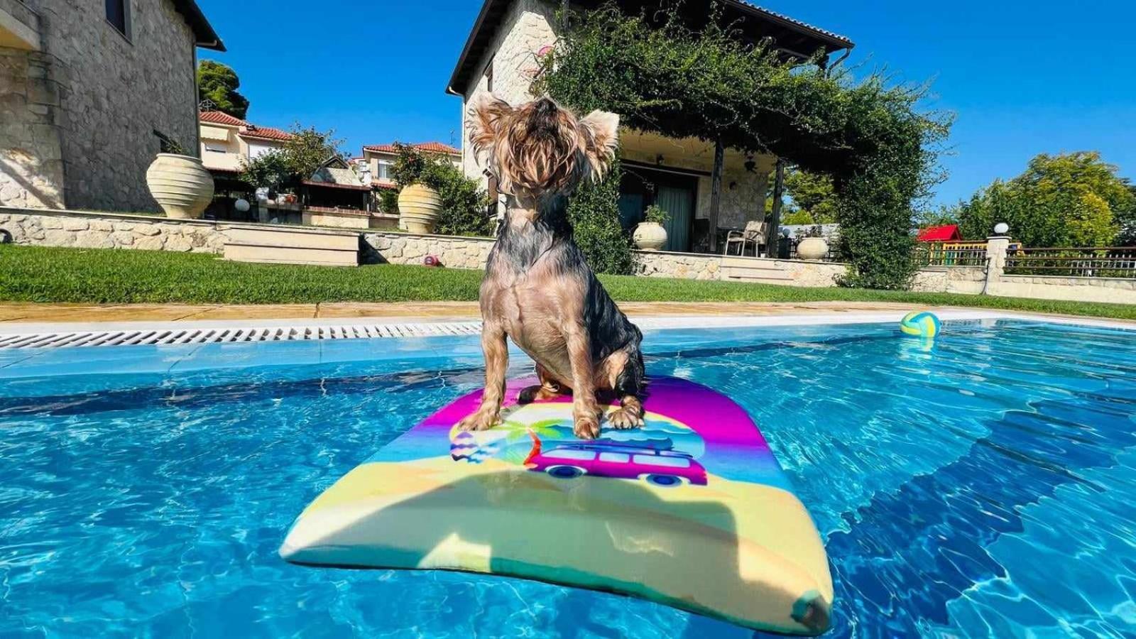Daphne Villas Kriopigi Dış mekan fotoğraf